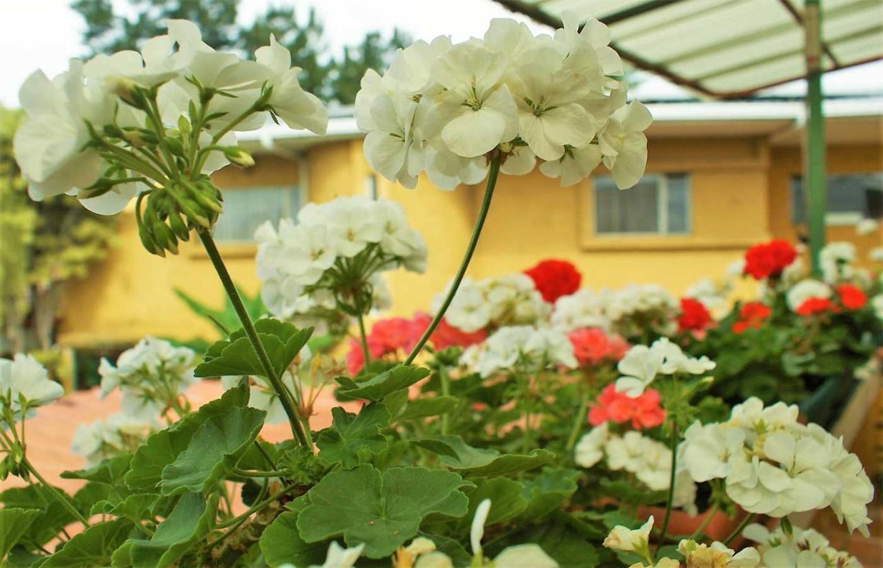 Hotel Puerta Del Sol - San Jose Airport Екстериор снимка